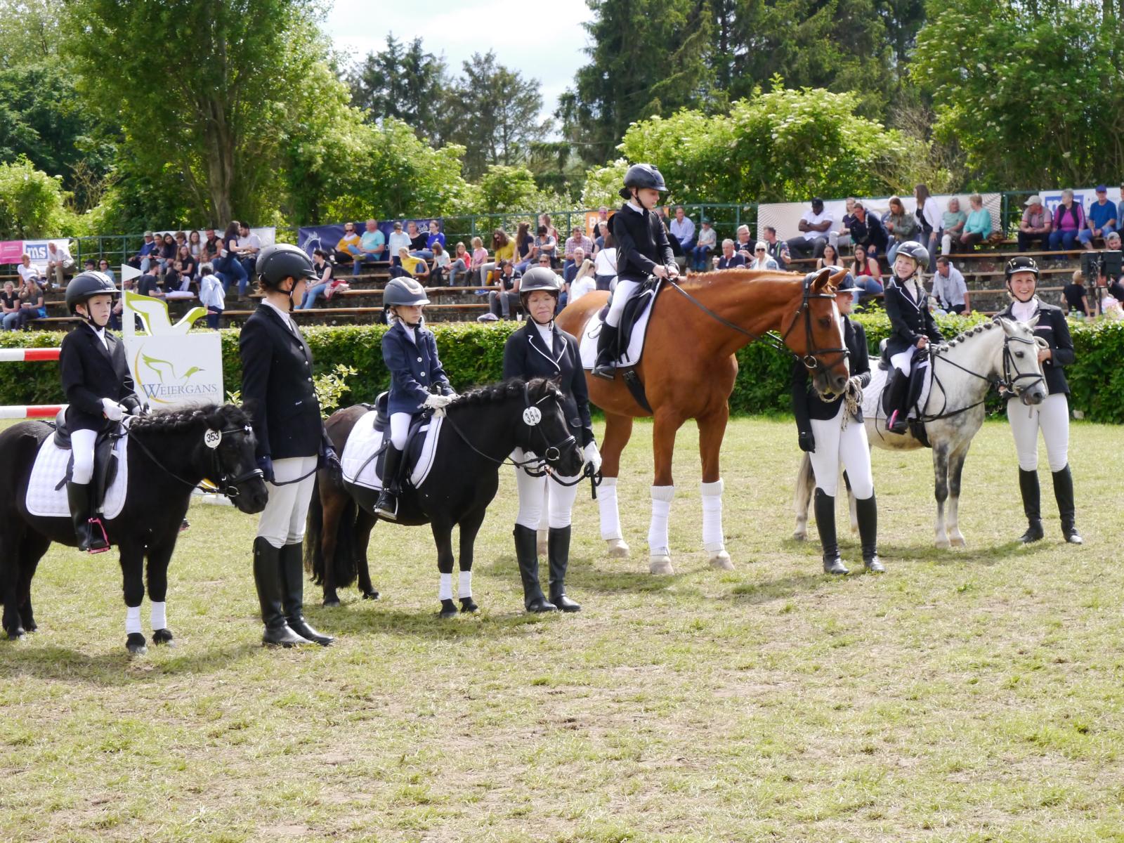 Springturnier 2024 - Reitverein Jülich